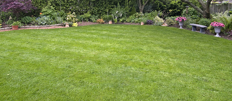 Top 4 Summer Sod Tips for Central Florida Lawns