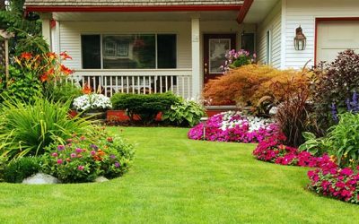 Gain Instant Curb Appeal with Sod and Improve the Value of Your Home