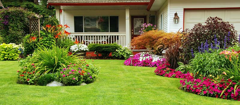 Gain Instant Curb Appeal with Sod and Improve the Value of Your Home