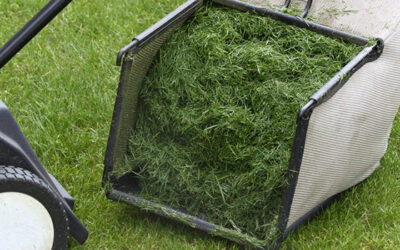 Should I Use A Grass Catcher When Mowing?