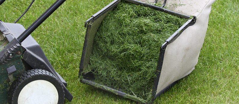 Should I Use A Grass Catcher When Mowing?