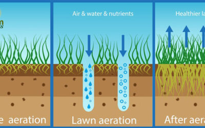 The Benefits of Aeration for Central Florida Lawns